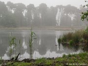 De Kampina in de vroege ochtendmist