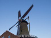 Molen 't Vliegend Hert - 's-Gravendeel