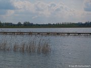 Hoog water in de Sophiapolder