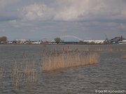 Hoog water in de Sophiapolder