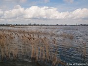 Hoog water in de Sophiapolder