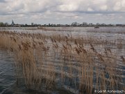 Hoog water in de Sophiapolder