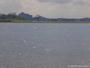 Gezicht op Dordrecht vanuit de Sophiapolder