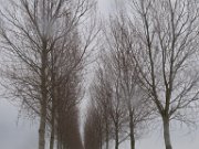 De Molendijk in de winter