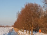 Polder Groot Koninkrijk in de winter