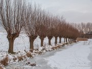 Polder Groot Koninkrijk in de winter