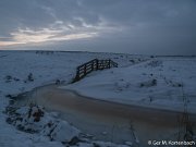 Polder Groot Koninkrijk in de winter