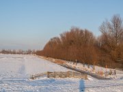 Winter in de Hoeksche Waard