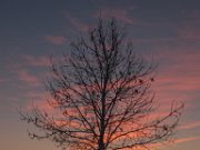 Zonsondergang aan de Binnenmaas (Hoeksche Waard)